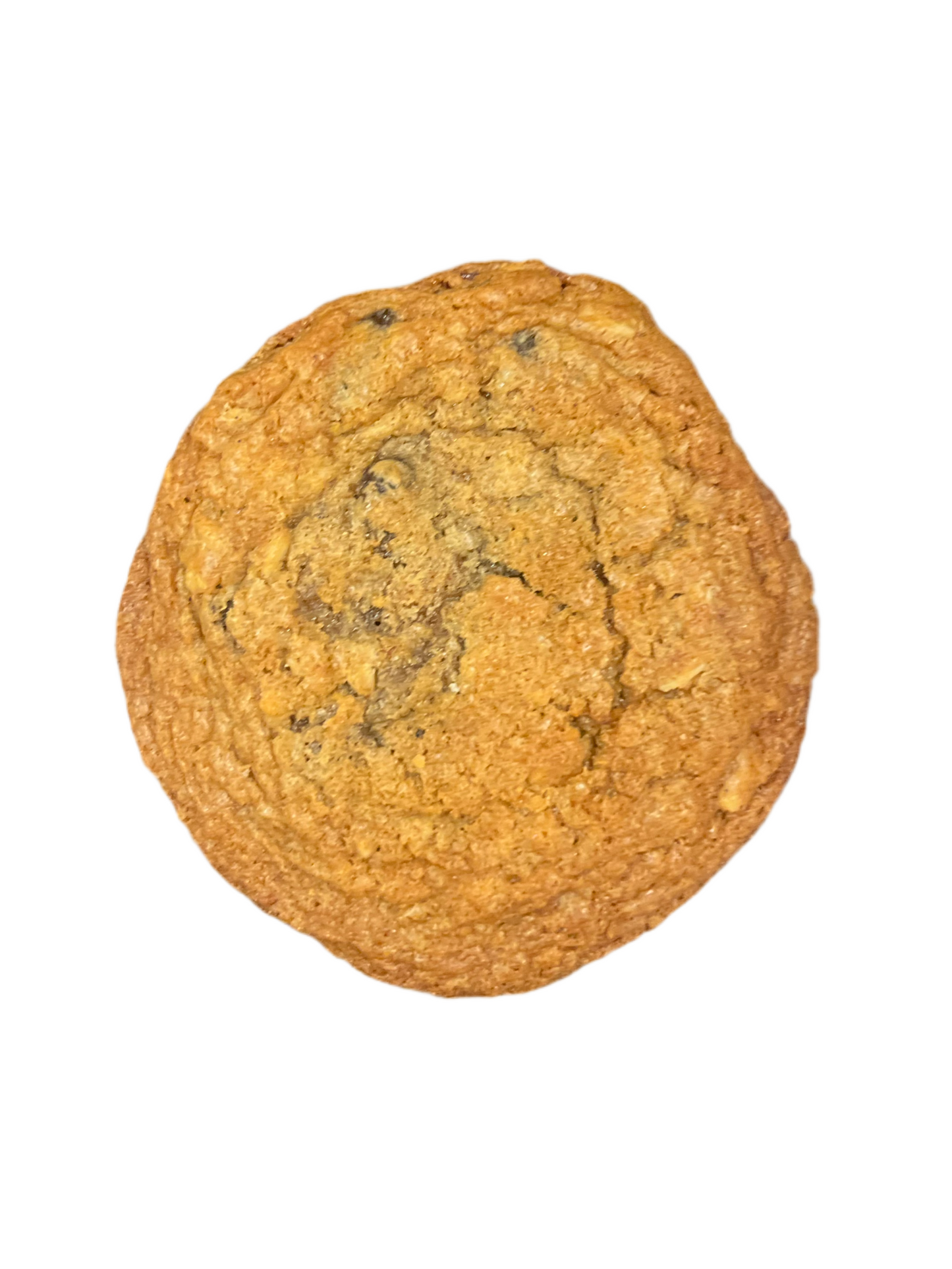 Oatmeal Raisin Cookie
