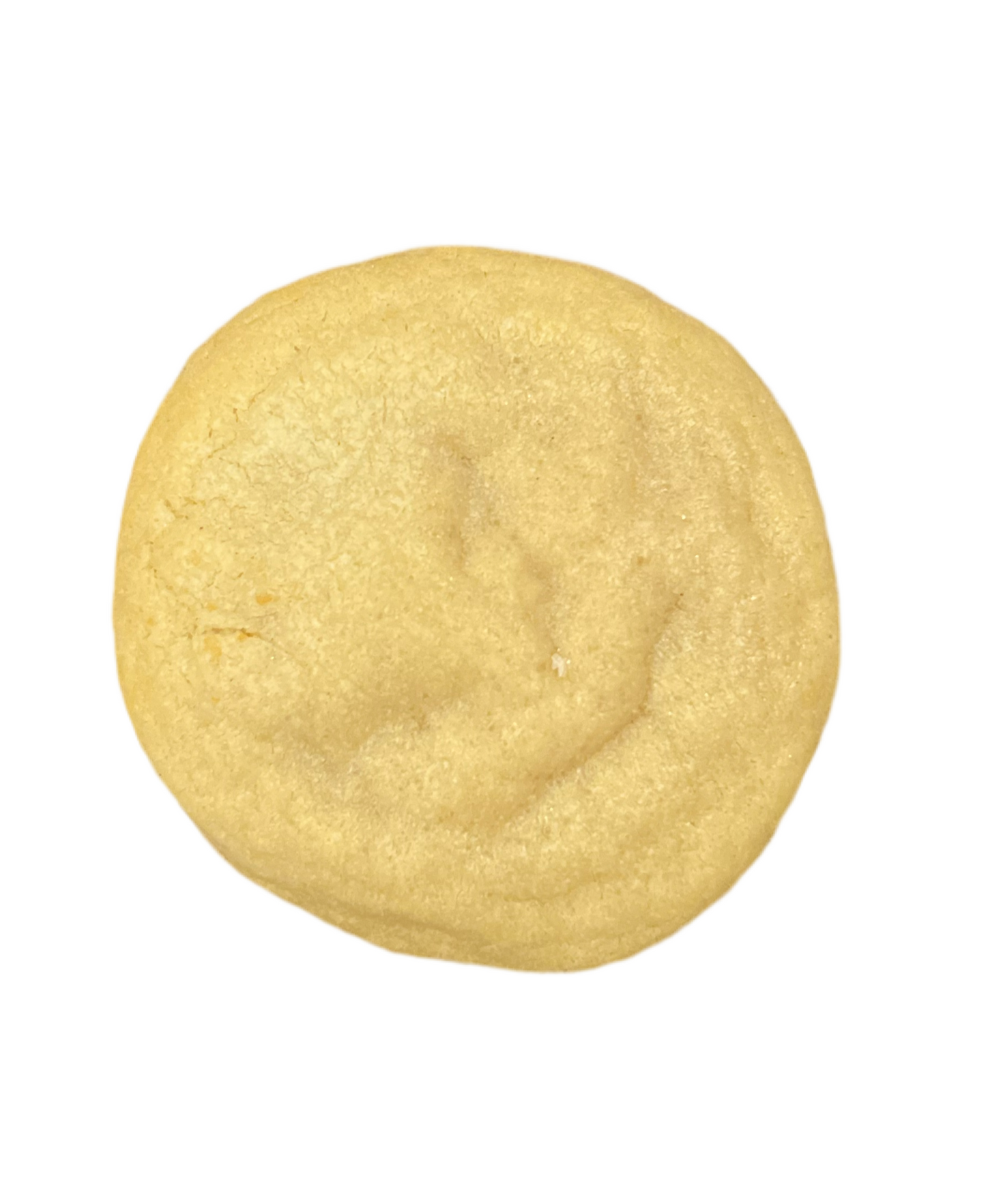 Sugar Cookie
